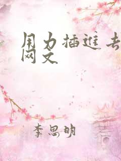 用力插进去小说网文