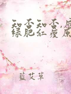 知否知否,应是绿肥红瘦原著小说