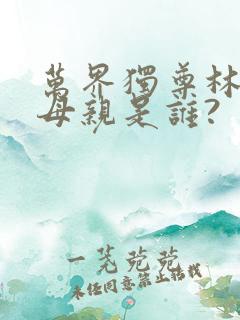 万界独尊林枫的母亲是谁?