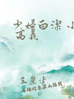 少妇白洁 小说 高义