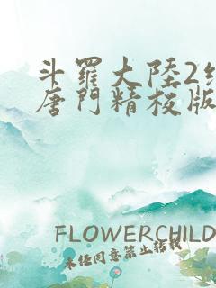 斗罗大陆2绝世唐门精校版