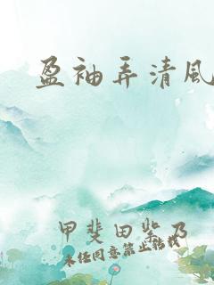 盈袖弄清风