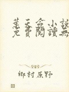 叶天命小说全文免费阅读无弹窗最新章节