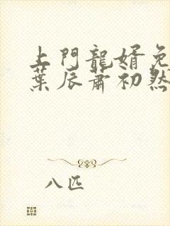 上门龙婿免全文叶辰萧初然