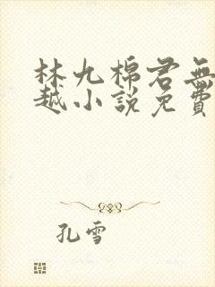 林九棉君无陌穿越小说免费阅读
