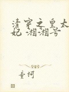 清穿之皇太子宠妃 湘湘兮