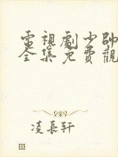 电视剧少帅48全集免费观看在线云