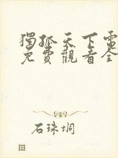 独孤天下电视剧免费观看全集高清