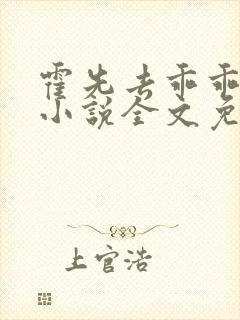 霍先去乖乖宠的小说全文免费阅读