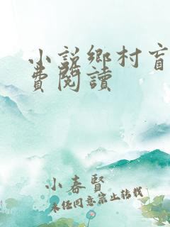 小说乡村盲医免费阅读