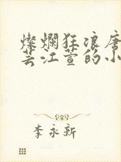 灿烂狂浪唐浪唐芸江萱的小说阅读