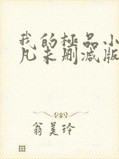 我的极品小姨叶凡未删减版