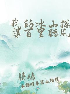 我的冰山总裁老婆百里听风