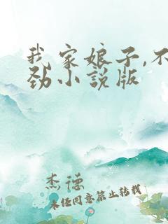 我家娘子,不对劲小说版
