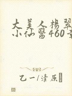 大美人杨翠绝世小仙医460章