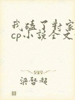 我磕了对家我的cp小说全文+番外txt