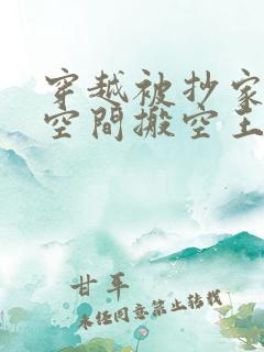 穿越被抄家利用空间搬空王府的小说