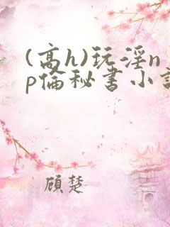 (高h)玩淫np伦秘书小说
