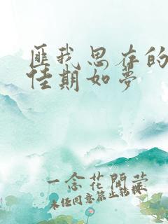 匪我思存的小说佳期如梦