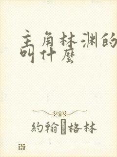 主角林渊的小说叫什么