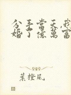 分手当天,我闪婚了亿万富豪全文免费阅读
