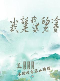 小说我的冷艳总裁老婆免费阅读