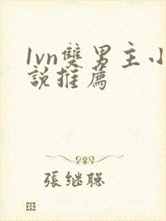 1vn双男主小说推荐
