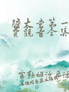 胆大党第一季免费观看全集