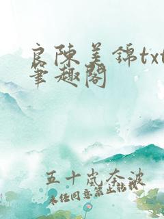 良陈美锦txt笔趣阁