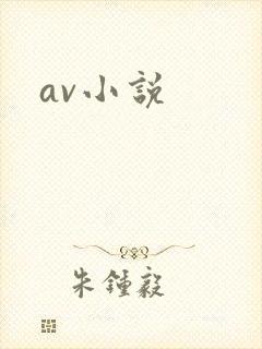 av小说