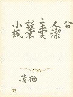 小说主人公王子枫袁雯洁