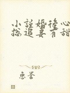 小说婚后心动凌总追妻有甜