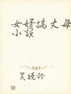 女婿搞丈母娘的小说