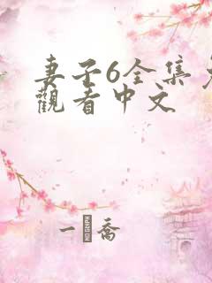 妻子6全集免费观看中文