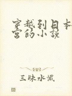 穿越到日本开后宫的小说