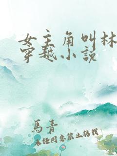 女主角叫林月的穿越小说