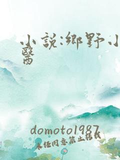 小说:乡野小傻医