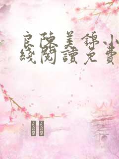 良陈美锦小说在线阅读免费