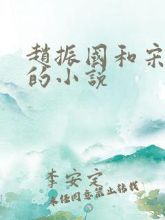 赵振国和宋婉清的小说