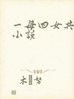 一母四女共一婿小说