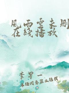风雨云未删减版在线播放