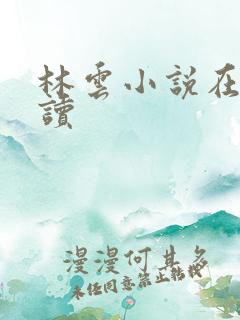 林云小说在线阅读