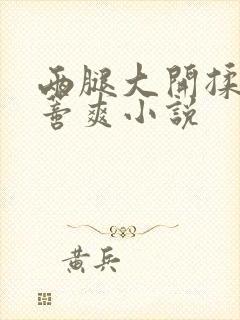 两腿大开揉弄花蒂爽小说
