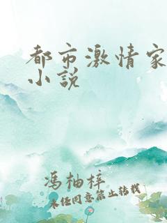 都市激情家庭乱小说