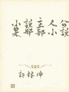 小说主人公林凡是哪部小说