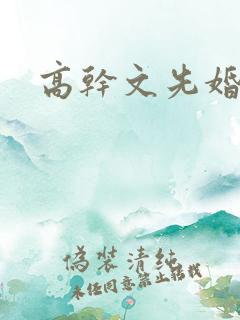 高干文先婚后爱