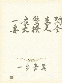 一夜惊喜闪婚娇妻太撩人全文免费阅读