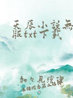天辰小说无删减版txt下载