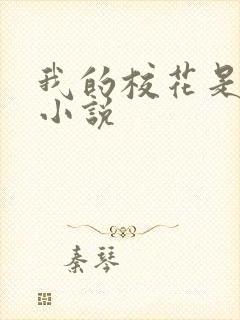 我的校花是姐姐小说