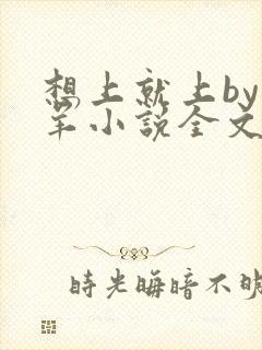 想上就上by迷羊小说全文免费阅读